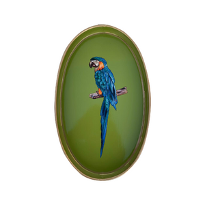Metal Tray Oval Parrot Green
