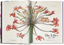 Ladda bild till bildvisaren Redouté - Book of Flowers 40 Series