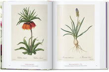 Ladda bild till bildvisaren Redouté - Book of Flowers 40 Series