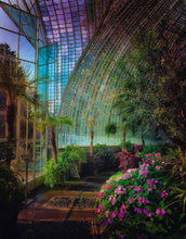 Ladda bild till bildvisaren Greenhouses – Cathedrals For Plants