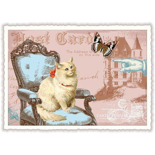 Carte Postale Bow Cat