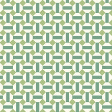 Ladda bild till bildvisaren Alicatado