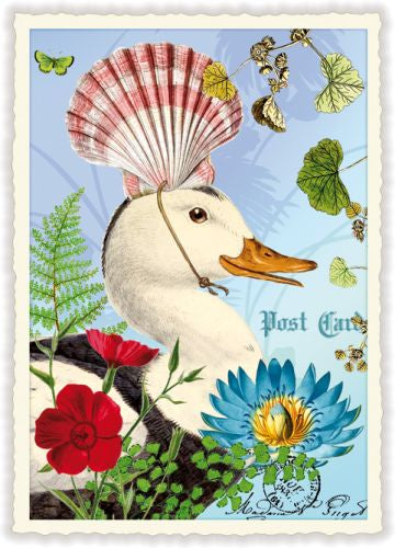 Carte Postale Shell Duck