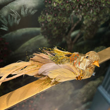 Ladda bild till bildvisaren Bird On Clip Gold 18cm