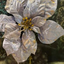 Ladda bild till bildvisaren Poinsettia Blue/Gold 81 cm