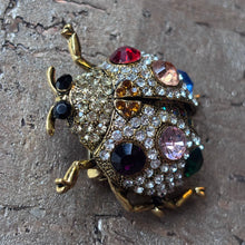 Ladda bild till bildvisaren Brosch Ladybug