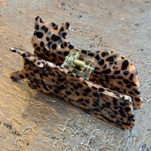 Ladda bild till bildvisaren Hårklämma Spotted Cougar