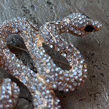 Ladda bild till bildvisaren Brosch Snake Clear