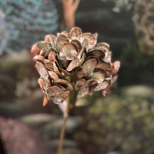 Ladda bild till bildvisaren Hydrangea Flower Green/Gold 49cm