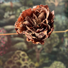 Ladda bild till bildvisaren Peony On A Clip