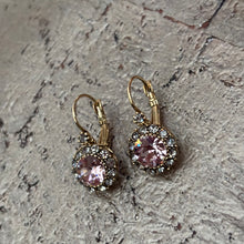 Ladda bild till bildvisaren Vintage Earring Vintage Rose (No.219)
