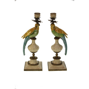 Pair of Candleholder Parrots Brass Multi