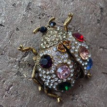 Ladda bild till bildvisaren Brosch Ladybug