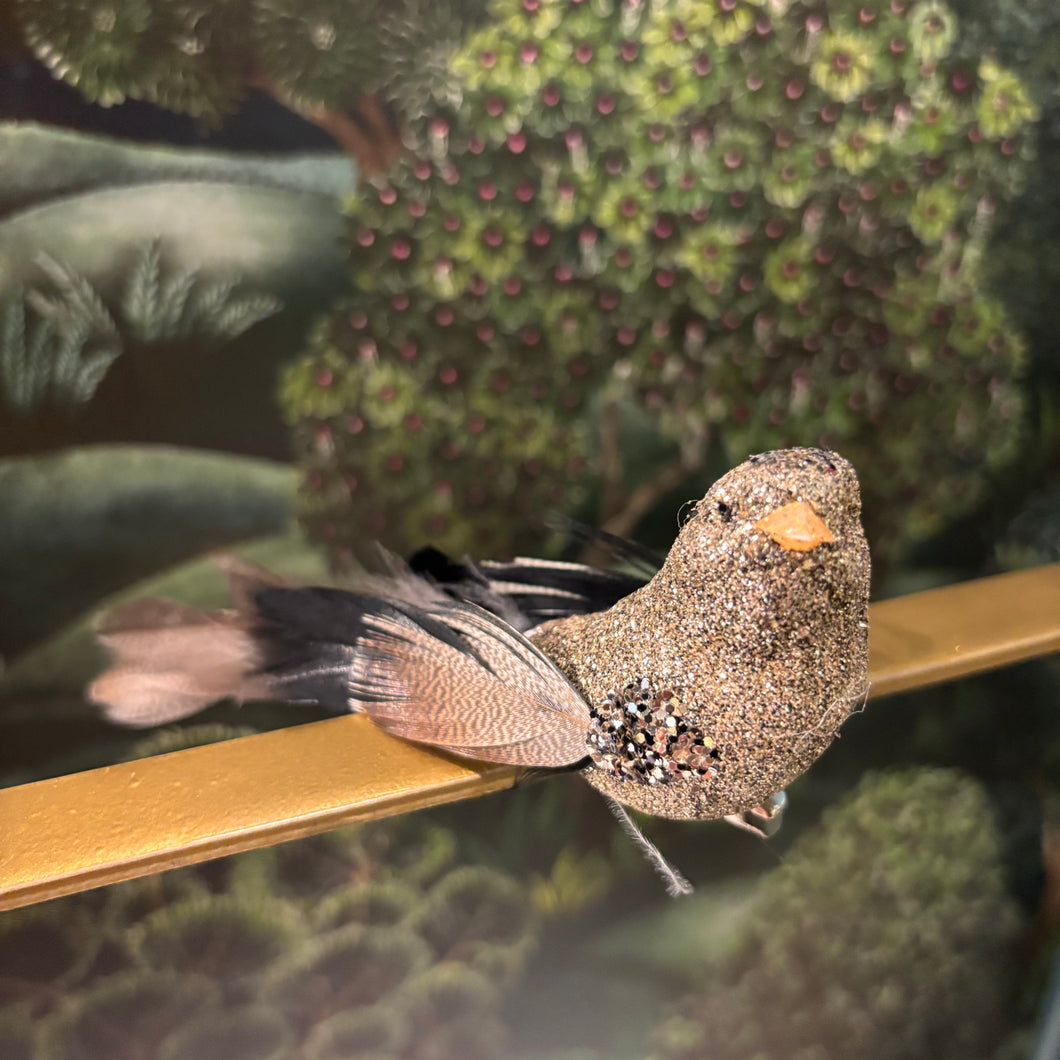 Bird On Clip Glitter/Black 15cm