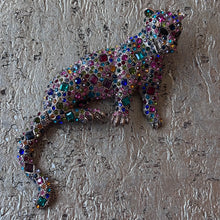 Ladda bild till bildvisaren Brosch Cat Multi