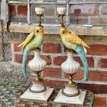 Ladda bild till bildvisaren Pair of Candleholder Parrots Brass Multi