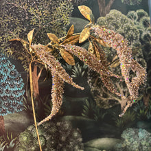 Ladda bild till bildvisaren Glitter Hang. Tail 99 cm