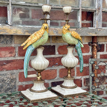 Ladda bild till bildvisaren Pair of Candleholder Parrots Brass Multi
