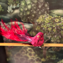 Ladda bild till bildvisaren Plume Bird On Clip 23cm