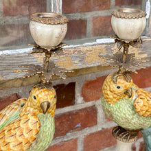 Ladda bild till bildvisaren Pair of Candleholder Parrots Brass Multi