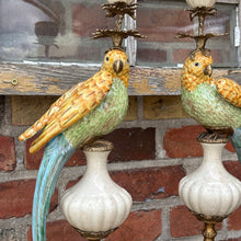 Ladda bild till bildvisaren Pair of Candleholder Parrots Brass Multi