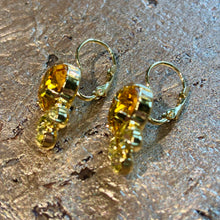 Ladda bild till bildvisaren Earrings Roubaix Soleil