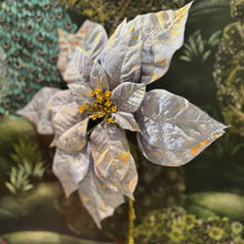 Ladda bild till bildvisaren Poinsettia Blue/Gold 81 cm