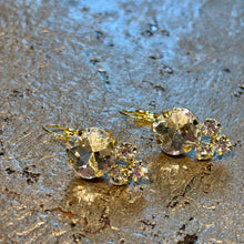 Ladda bild till bildvisaren Earrings Roubaix Clear