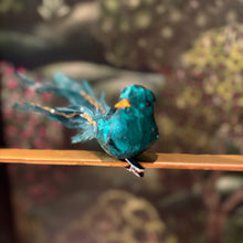 Ladda bild till bildvisaren Bird On Clip Blue/Green 14cm