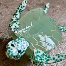 Ladda bild till bildvisaren Hårklämma Spotted Turtle