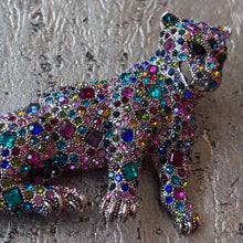 Ladda bild till bildvisaren Brosch Cat Multi
