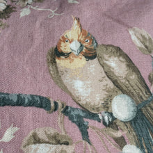 Ladda bild till bildvisaren Cushion Vintage Birds 50x50cm