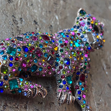 Ladda bild till bildvisaren Brosch Cat Multi
