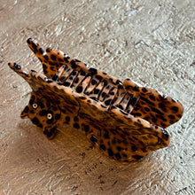 Ladda bild till bildvisaren Hårklämma Spotted Cougar