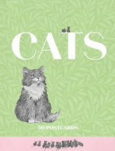 Ladda bild till bildvisaren Cats 50 Postcards