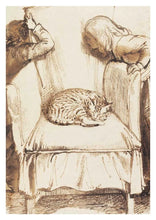 Ladda bild till bildvisaren Cats 50 Postcards