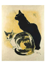 Ladda bild till bildvisaren Cats 50 Postcards