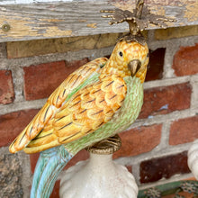 Ladda bild till bildvisaren Pair of Candleholder Parrots Brass Multi