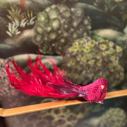 Plume Bird On Clip 23cm