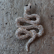 Ladda bild till bildvisaren Brosch Snake Clear