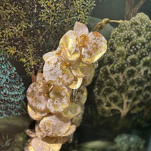 Ladda bild till bildvisaren Orchid Flower Cream/Gold 101cm