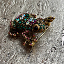 Ladda bild till bildvisaren Brosch Sparkling Frog