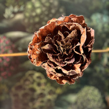 Ladda bild till bildvisaren Peony On A Clip