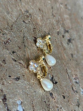 Ladda bild till bildvisaren Clips Pearl Iris