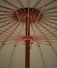 Ladda bild till bildvisaren Parasoll - Eucalyptus Terrakotta Fringe