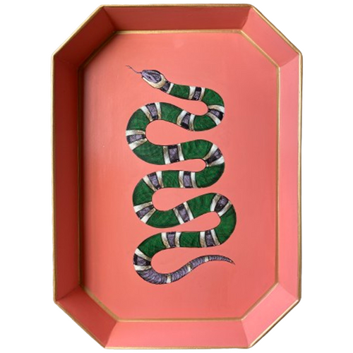 Metal Tray Snake