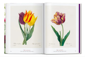 Redouté – Book of Flowers