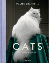 Ladda bild till bildvisaren Cats Photographs
