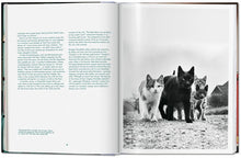 Ladda bild till bildvisaren Cats Photographs
