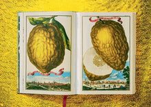 Ladda bild till bildvisaren The Book of Citrus Fruits